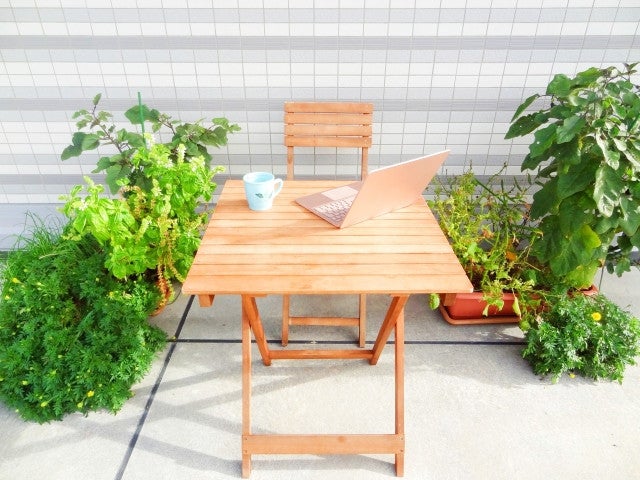 写真: