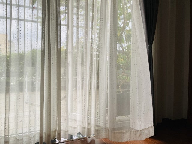 写真:
