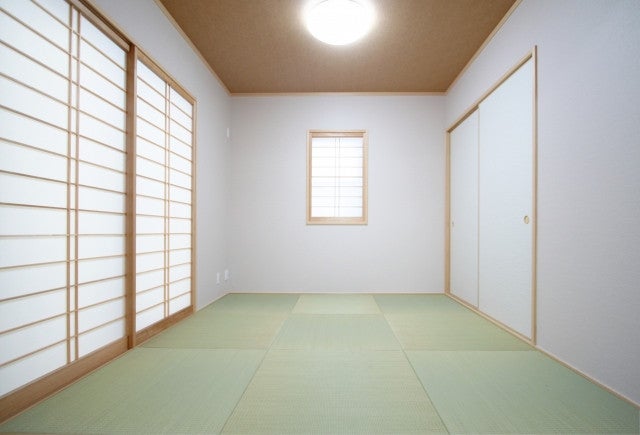 写真: