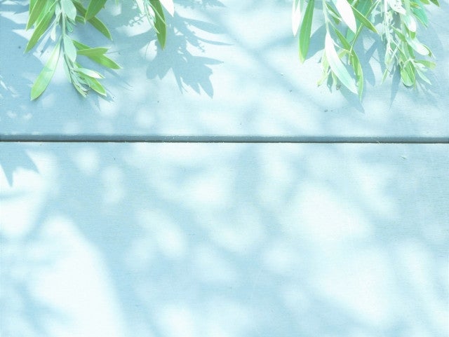 写真:
