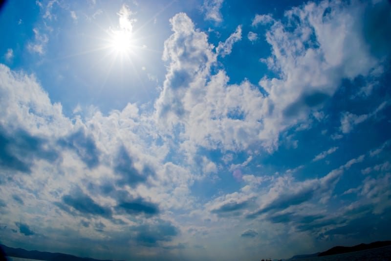 写真: