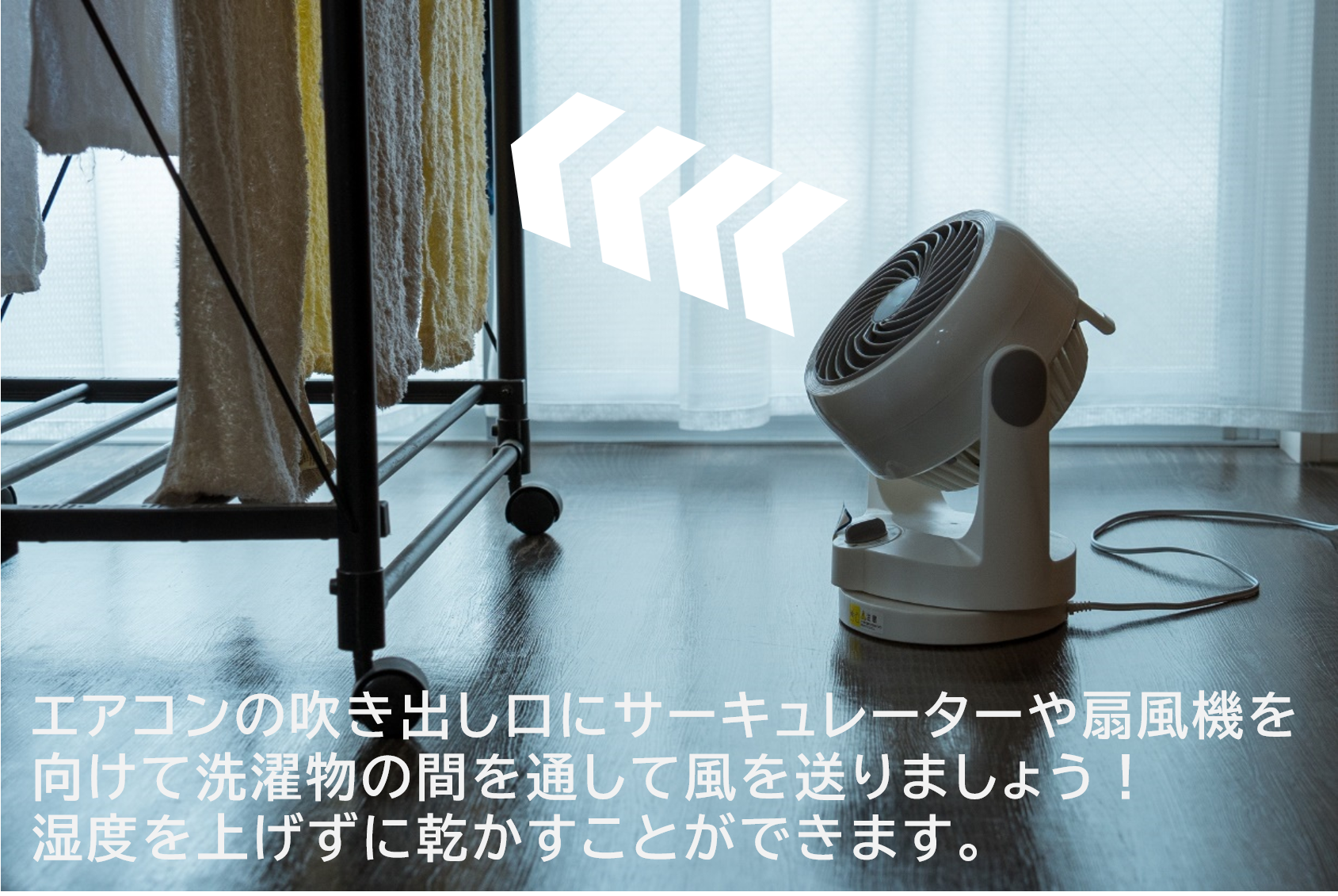 写真: