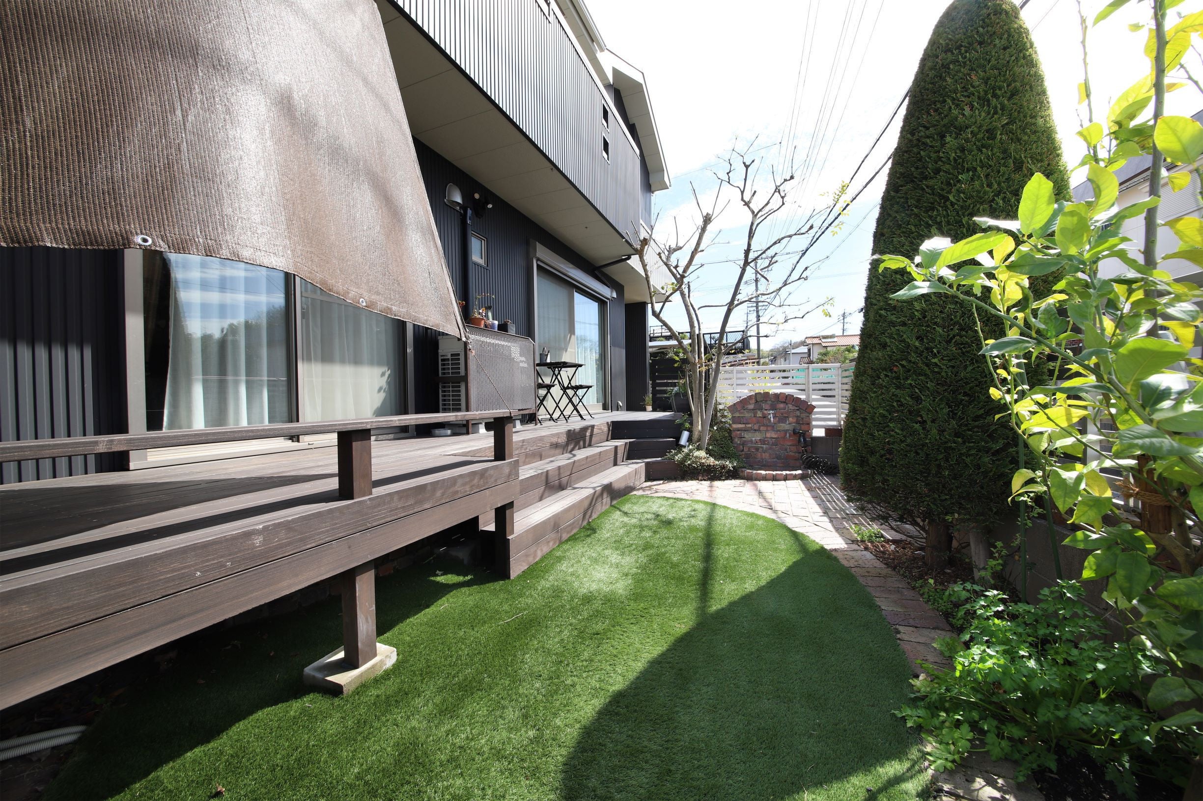 写真: