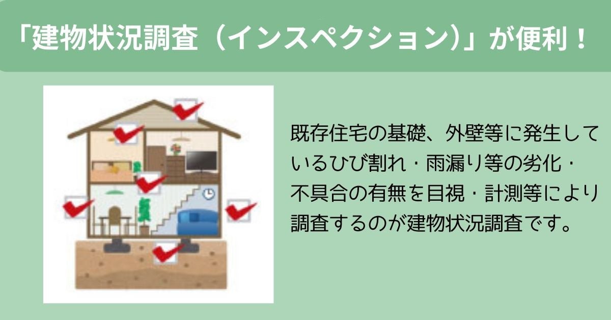 写真: