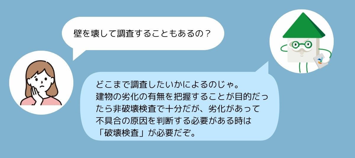 写真: