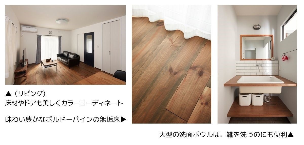 写真: