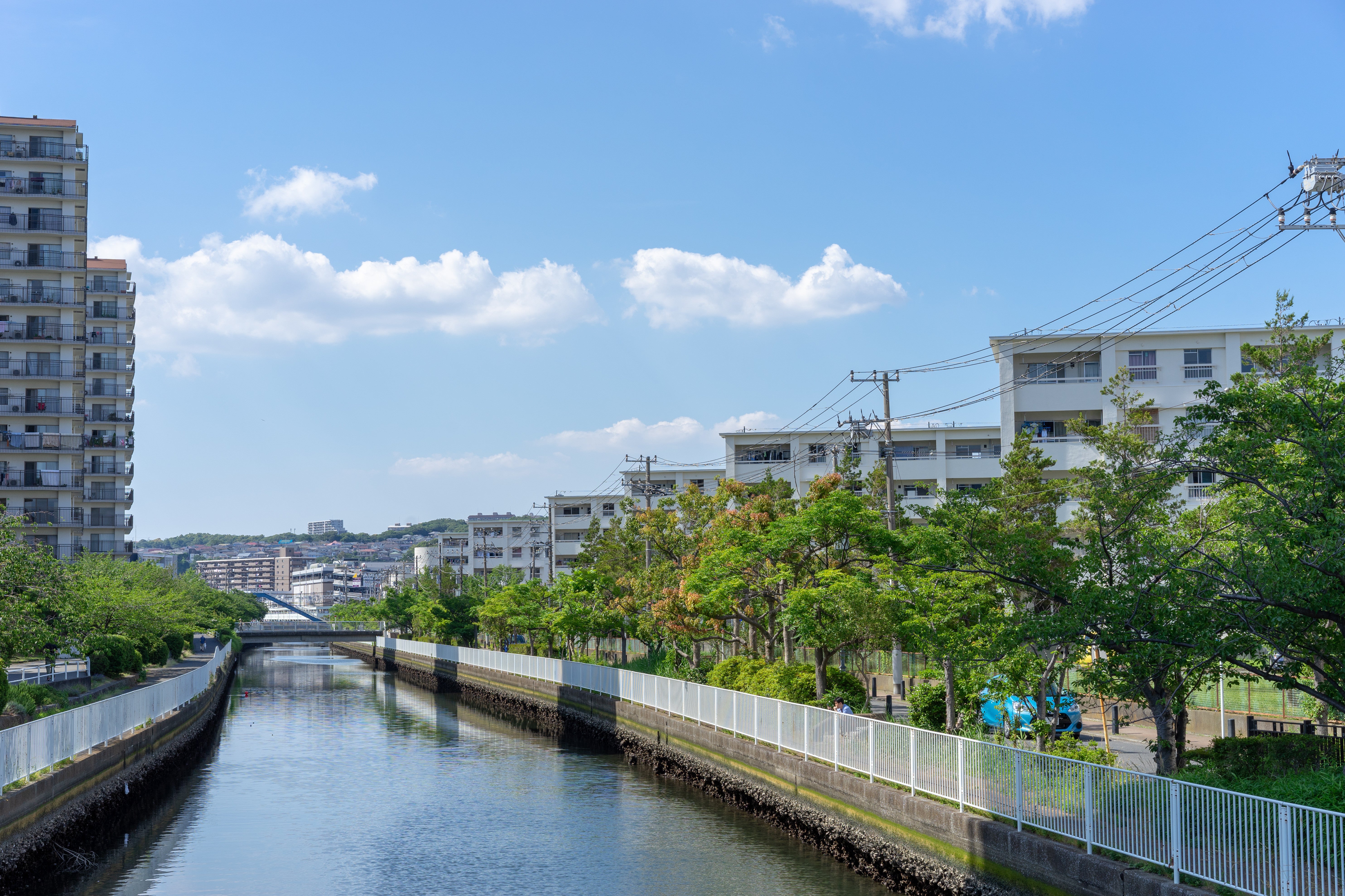 写真: