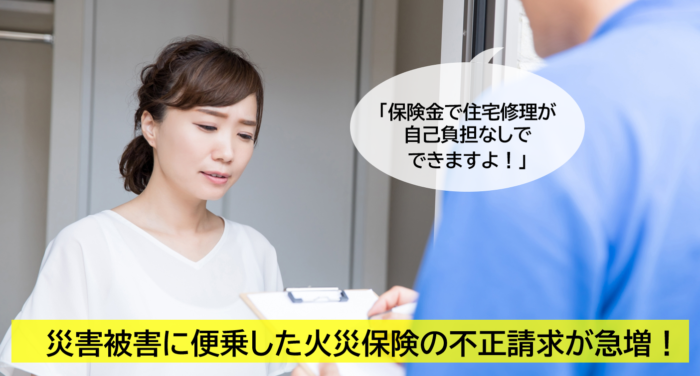 写真: