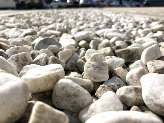 写真: