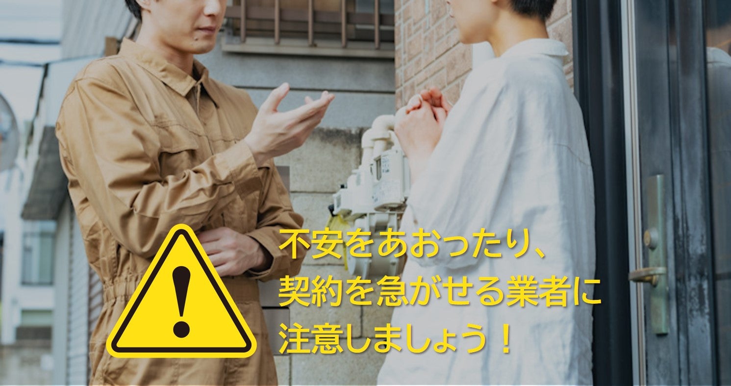 写真: