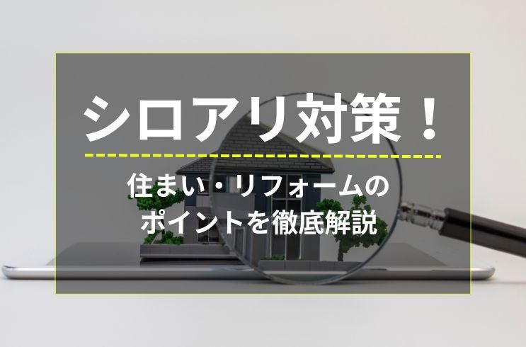 写真:
