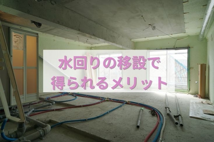 写真: