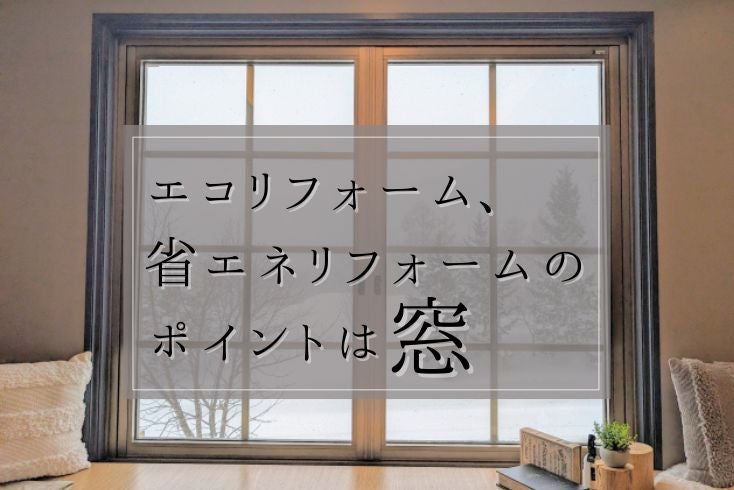 写真: