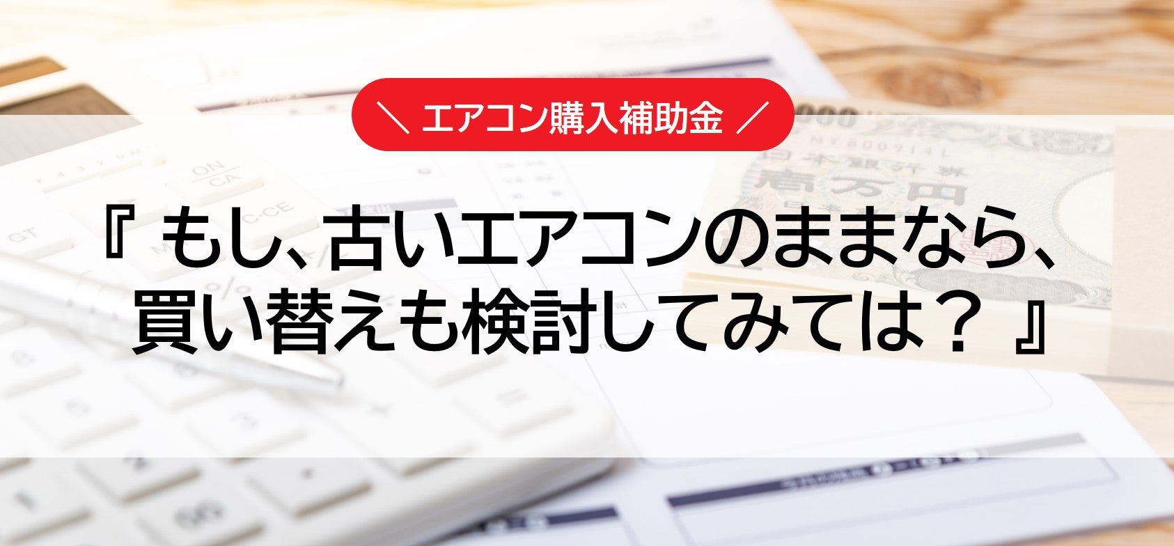 写真: