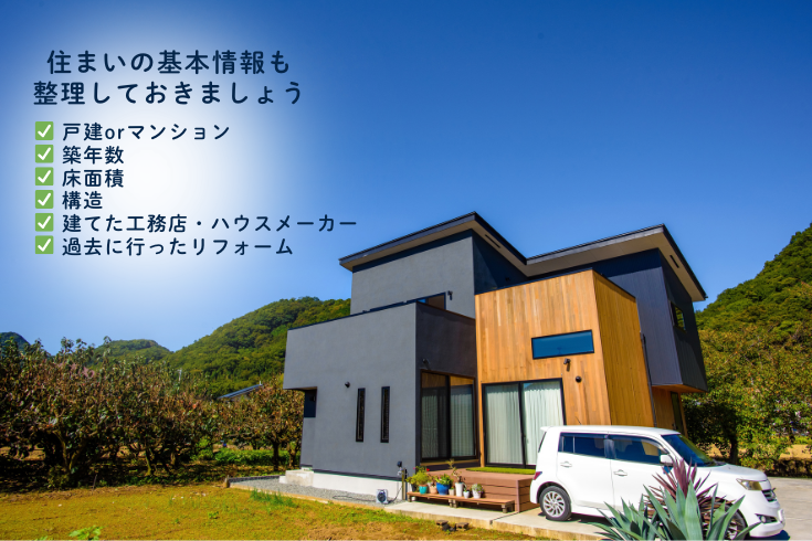 写真：